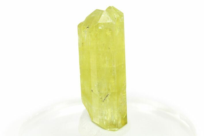 Gemmy Yellow-Green Apatite Crystal - Morocco #276539